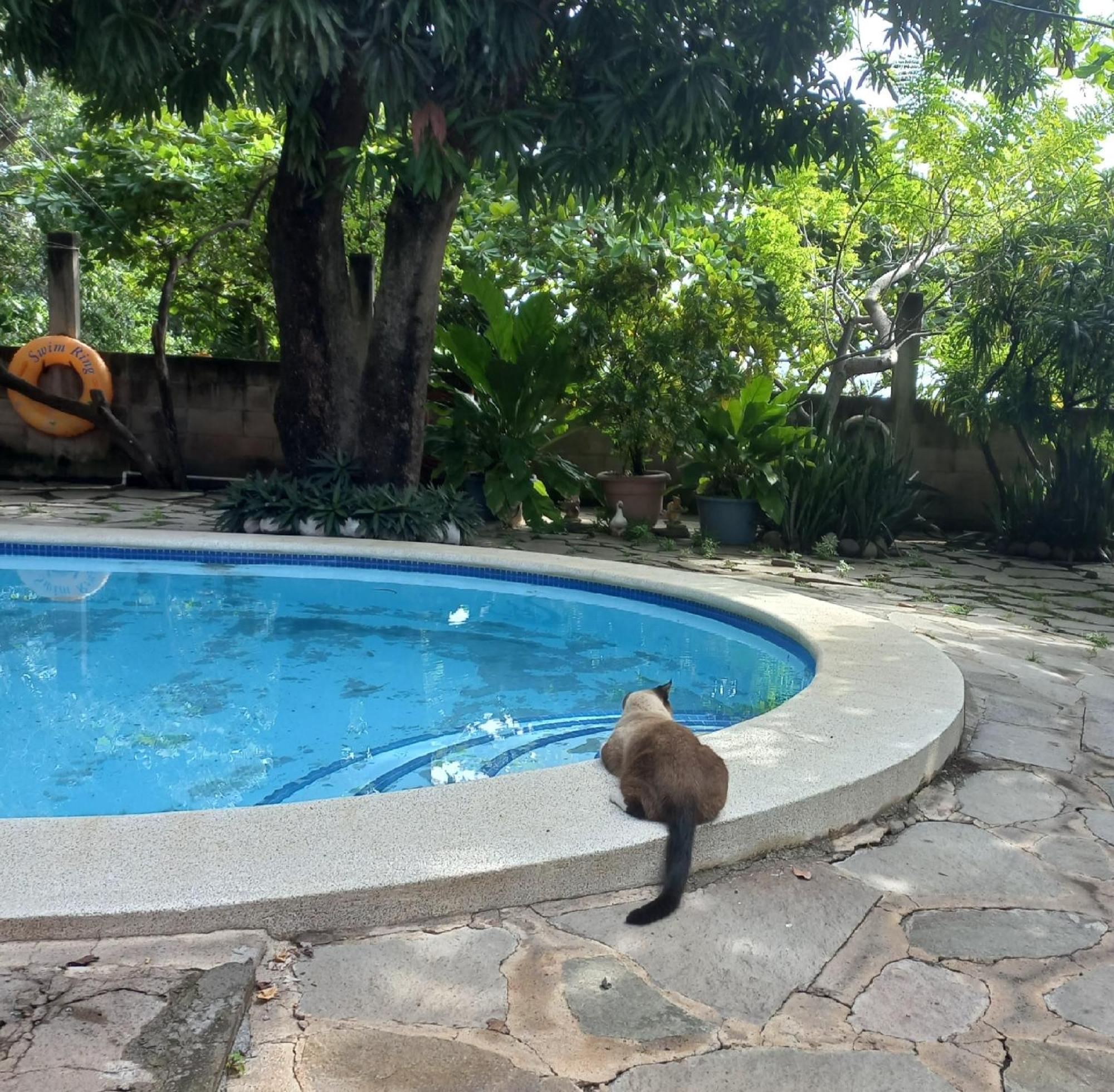 ラ・リベルタード Casita Escondida- El Salvadorヴィラ エクステリア 写真